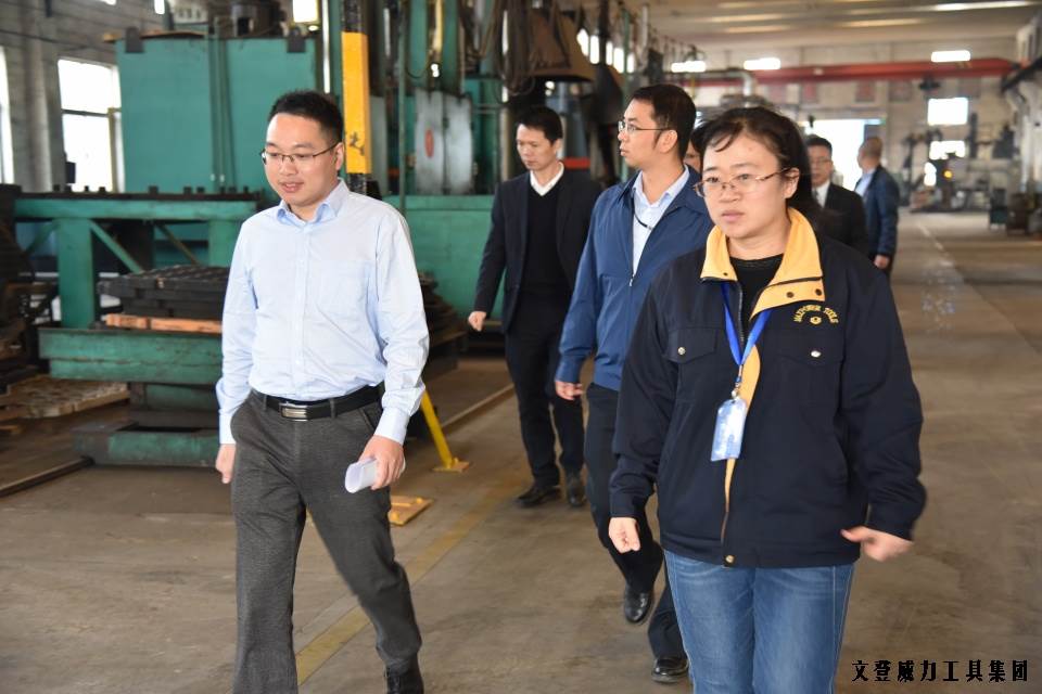 DSC_1796.JPG YH533388银河工具集团“引智强企”企业诊断大会正式启动(图7)